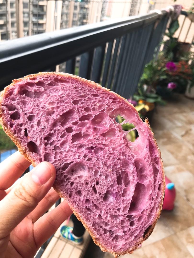 欧包切面组织气孔