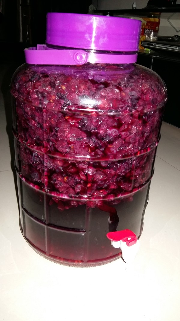 怎样自制红酒(怎样自制红酒开瓶器) 怎样自制红酒(怎样自制红酒开瓶器)