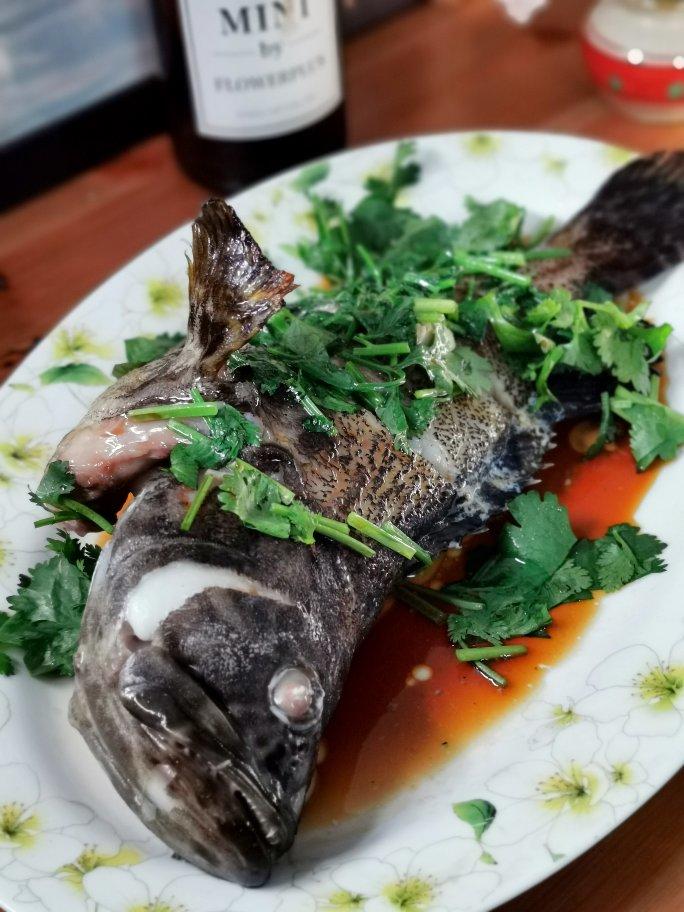 孔雀开屏武昌鱼