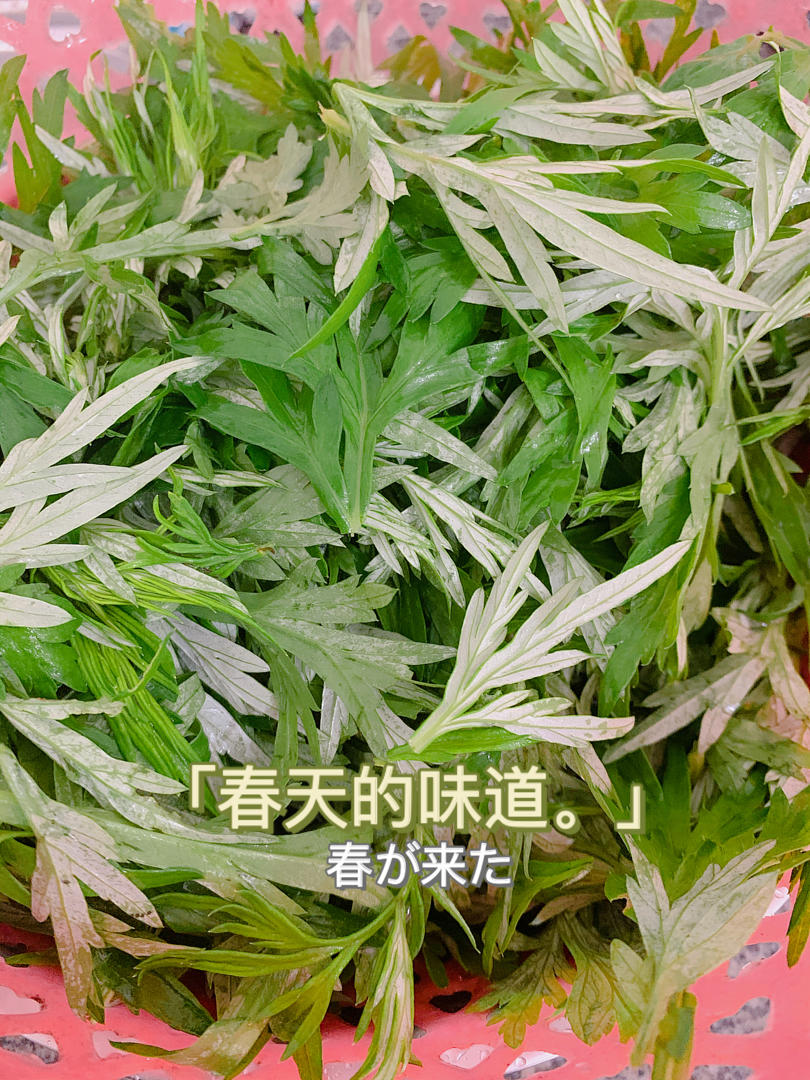 4种口味青团｜腊肉笋丁｜红糖坚果｜咸蛋黄肉松｜红豆｜春天的味道｜艾草清明粿｜非常好包不开裂不塌陷不粘手