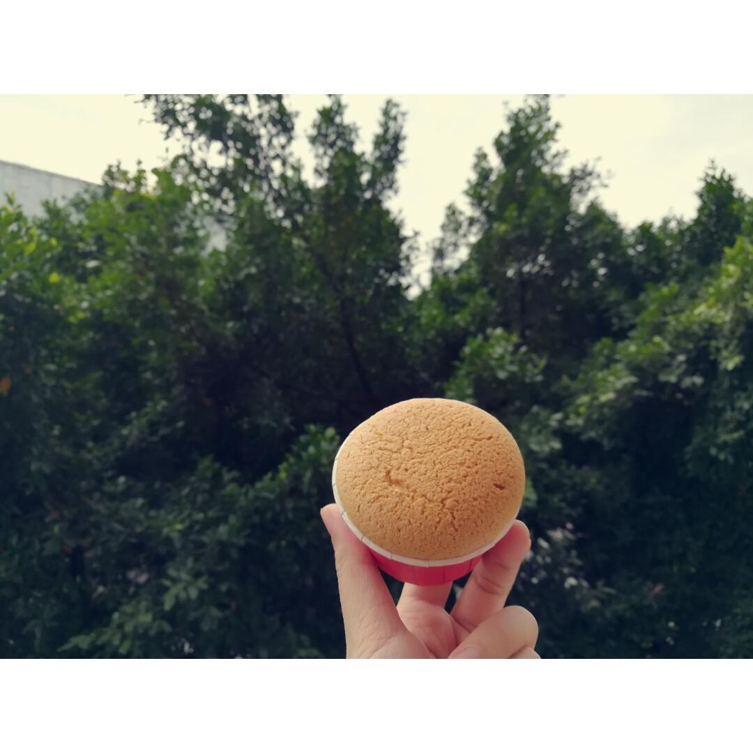 海绵纸杯蛋糕