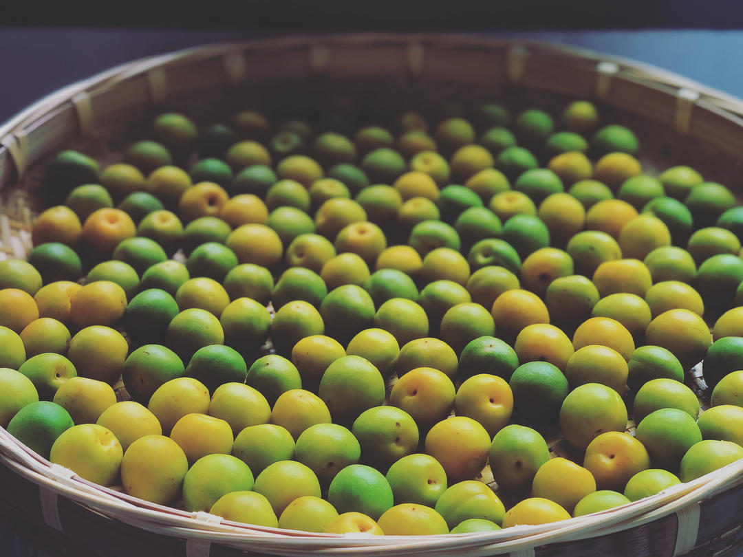 【青梅酒】梅子的沉醉时光（已填坑）