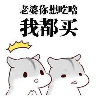 积极向上的土豆饼