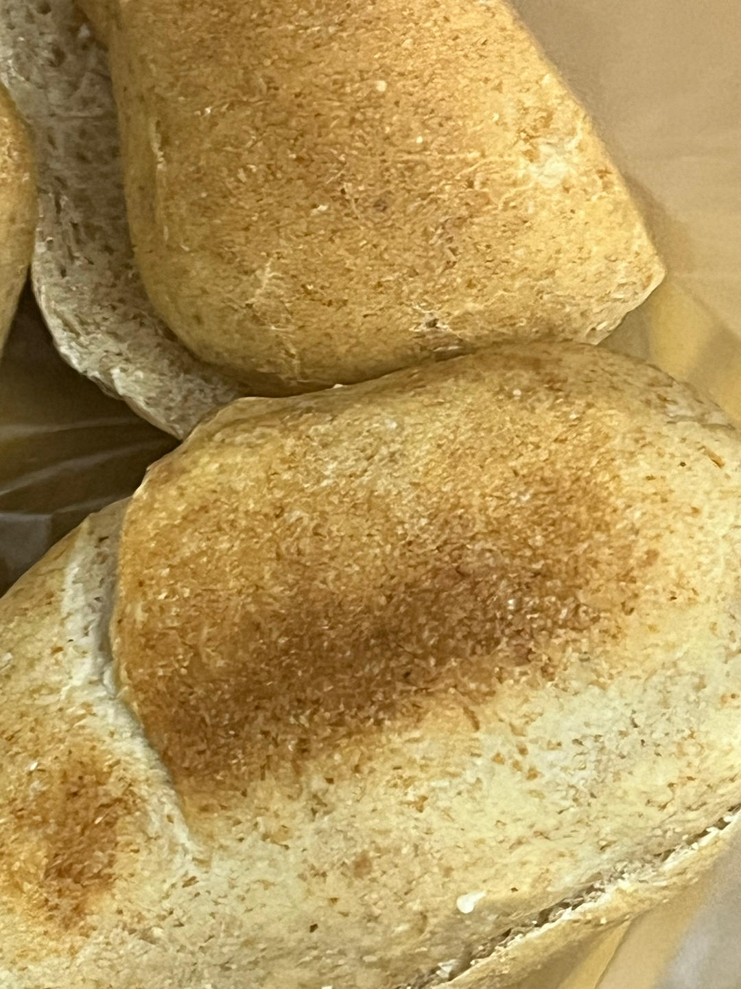 无油低糖全麦帕尼尼面包胚