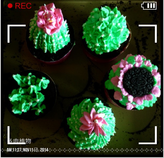 多肉植物仙人球杯子蛋糕（抹茶草莓可可cupcake）