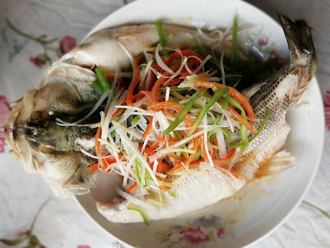 「月澜姐」清蒸鲈鱼 ▏揭秘饭店蒸鱼味道鲜美不腥的诀窍