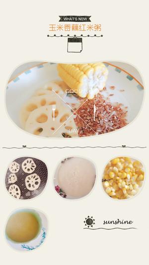 婴儿辅食：玉米藕香红米粥的做法 步骤6