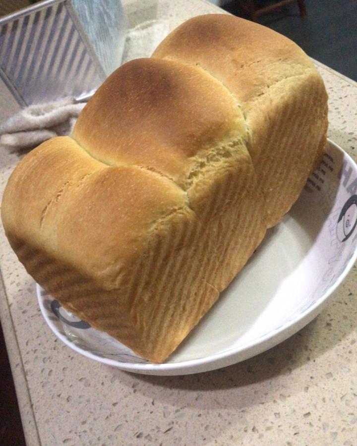 夺命软吐司(๑´ڡ`๑)超软拉丝极速方便的一次发酵吐司