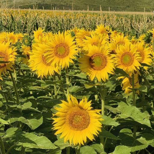 安然的温暖时光