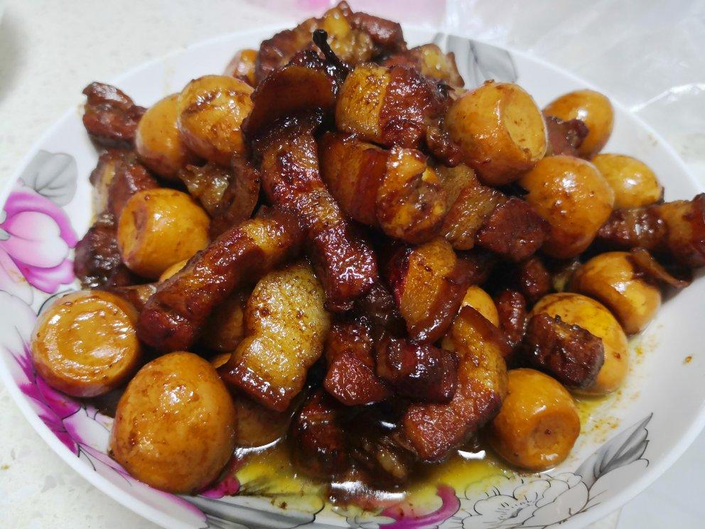 加了鹌鹑蛋后，这盘红烧肉，美味的逆天啦——鹌鹑蛋烧肉（孔瑶食谱）