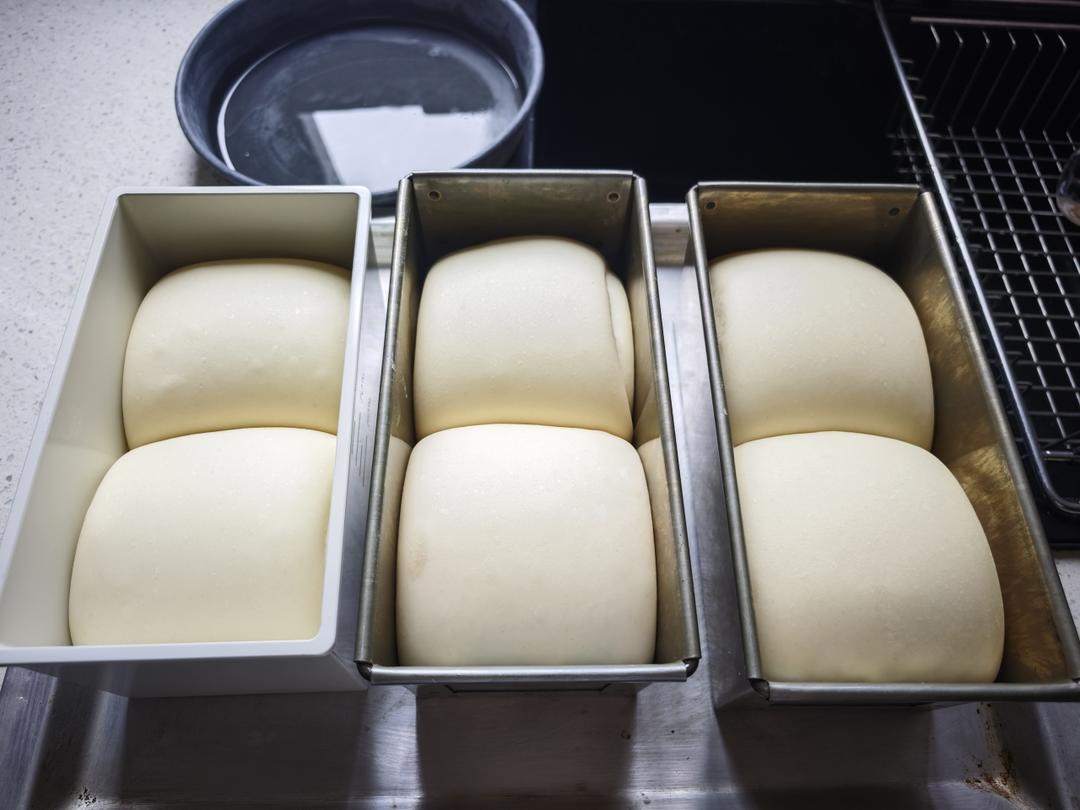 牧场鲜奶吐司🍞｜一次发酵｜吴克己老师经典吐司