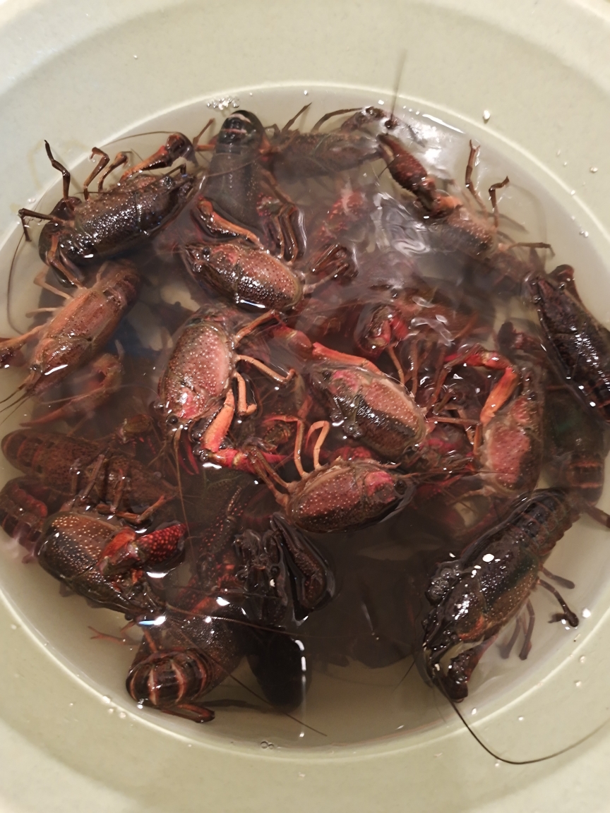 小龙虾之武汉油焖大虾的做法 步骤1