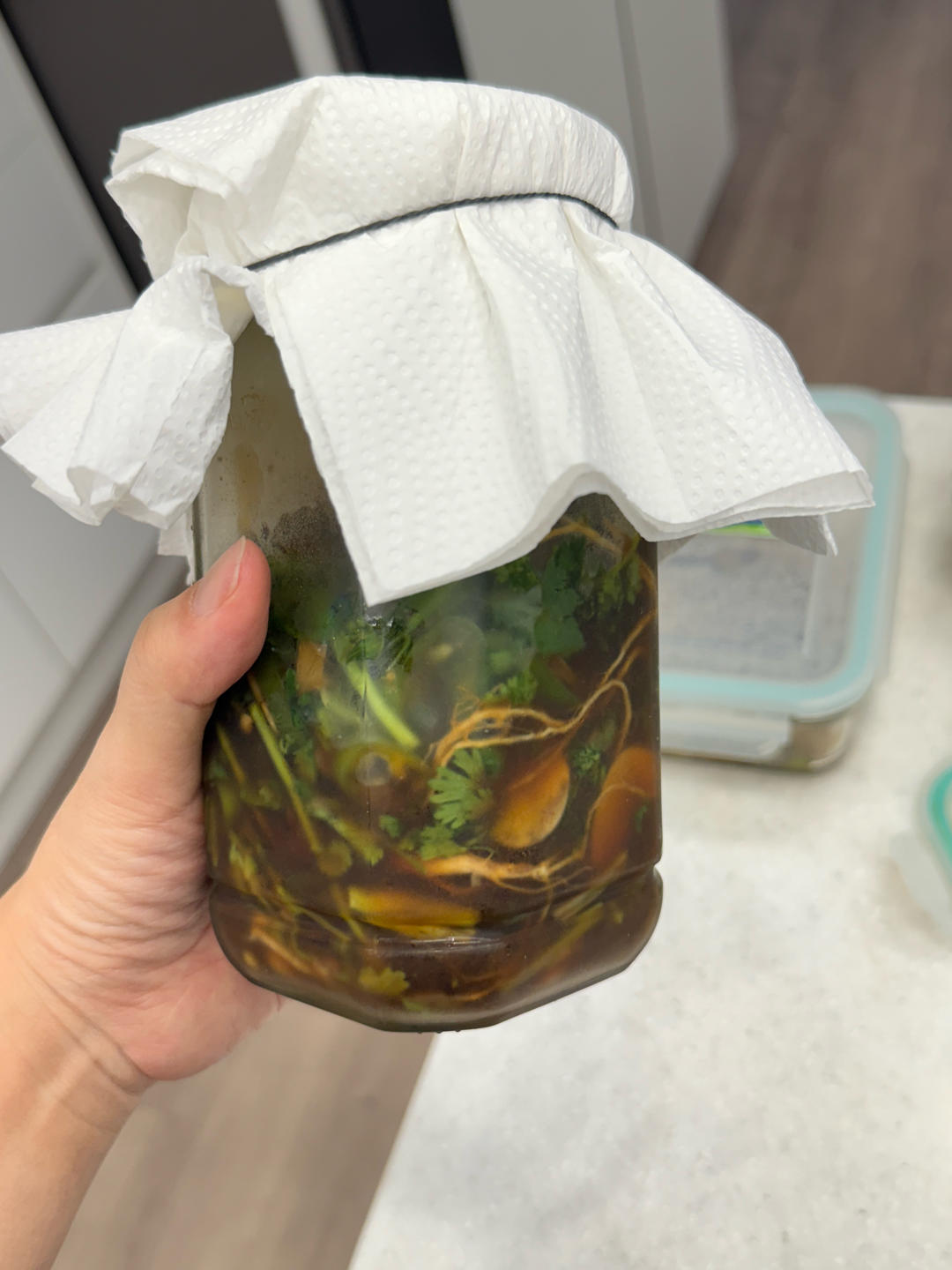 咸香热辣香菜秘制咸菜