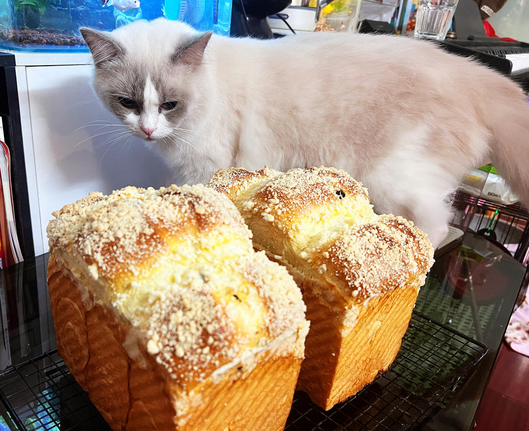 奶香四溢，可以撕着吃的直接法「鲜奶吐司」