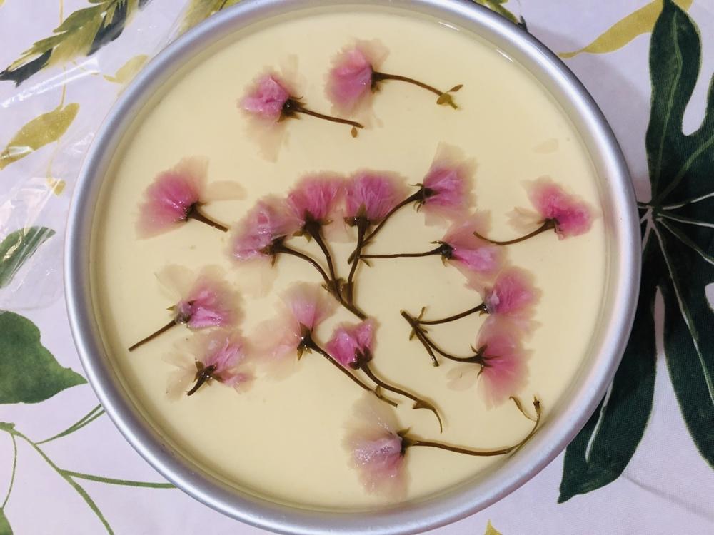 樱花酸奶慕斯蛋糕（免烤）