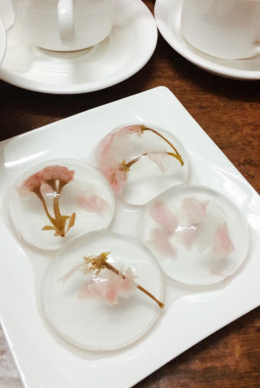 日本最温柔的梦幻和菓子 — 水信玄饼