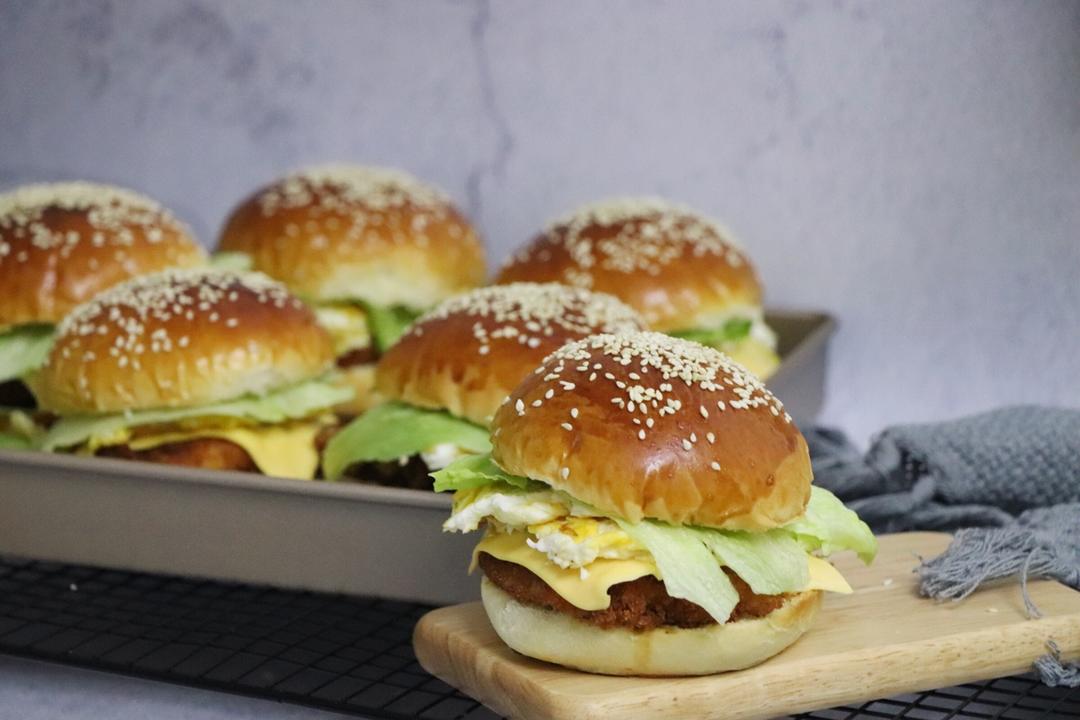 汉堡胚（中种法）