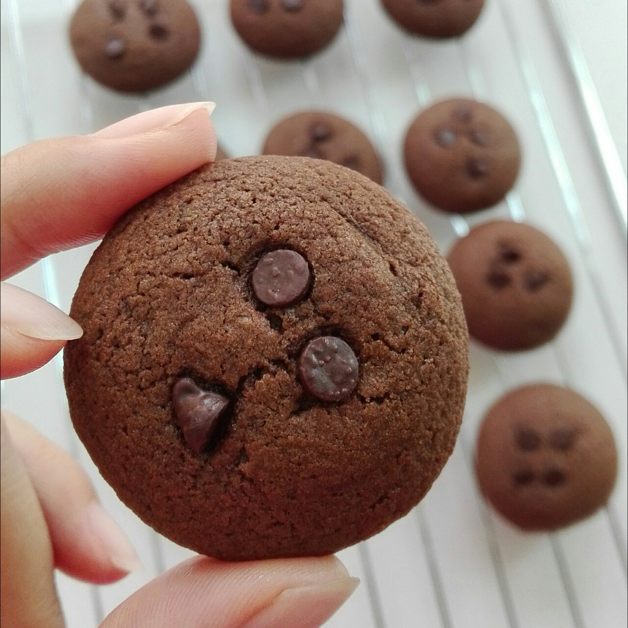 巧克力豆曲奇(Chocolate Chip Cookies)