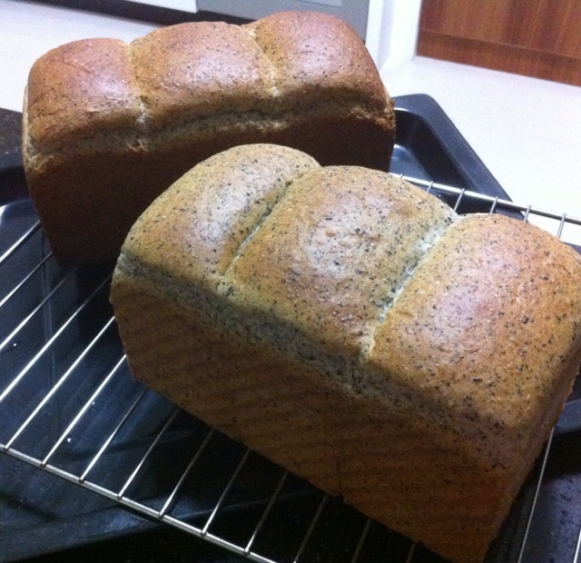 北海道牛奶吐司（100%冷藏中种法）