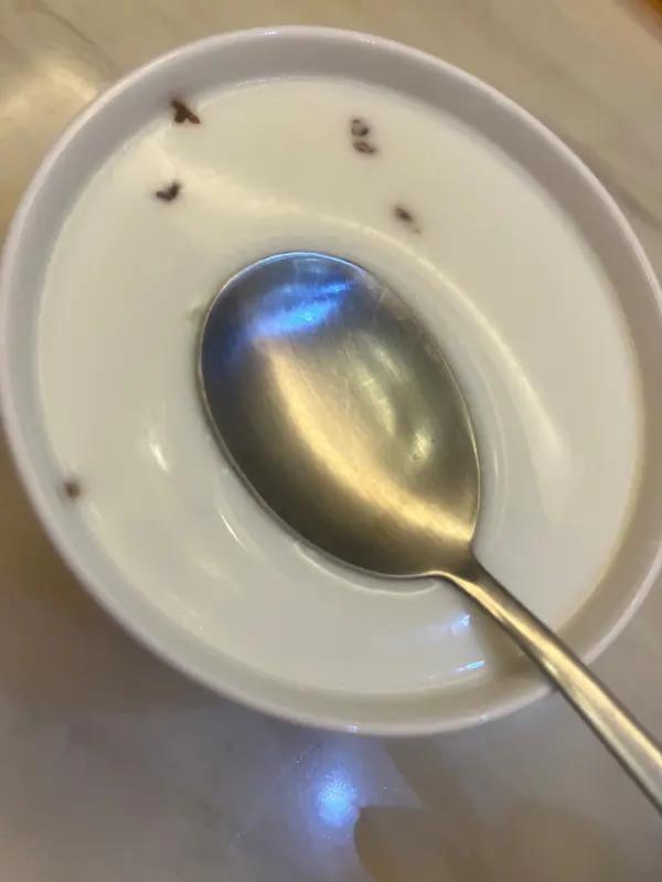 牛奶酒酿的升级吃法-中式奶酪-舀着吃的酒酿奶/米酒酿奶