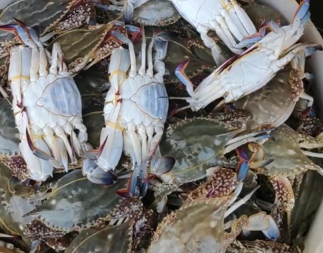 烹饪是表达爱的最好方式