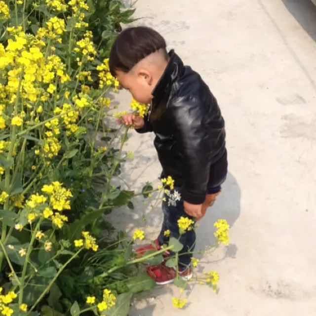 茅妞