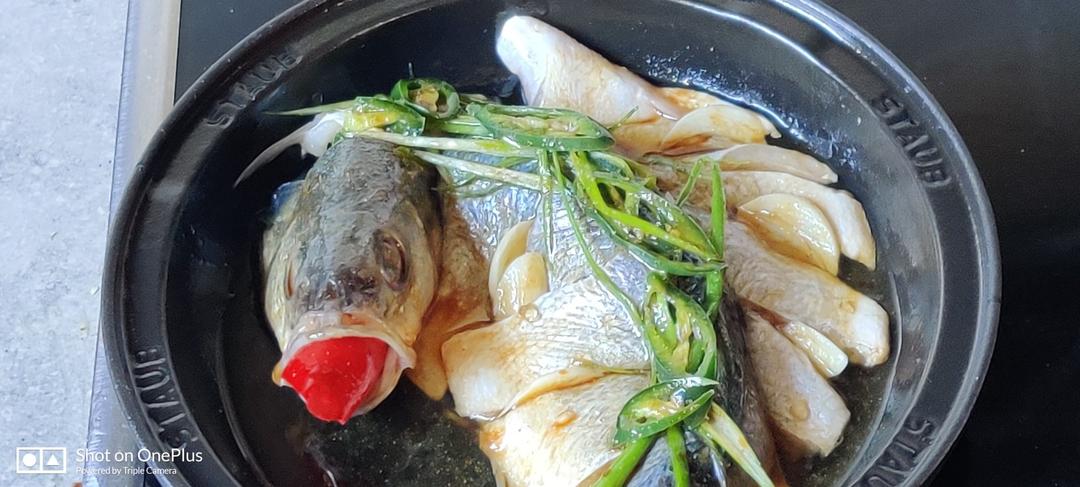 塔吉鱼