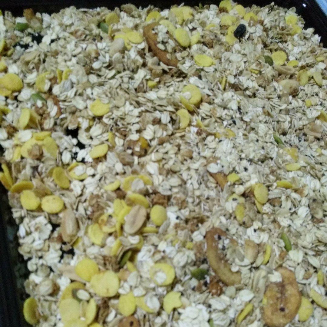 格兰诺拉燕麦片 Homemade Granola