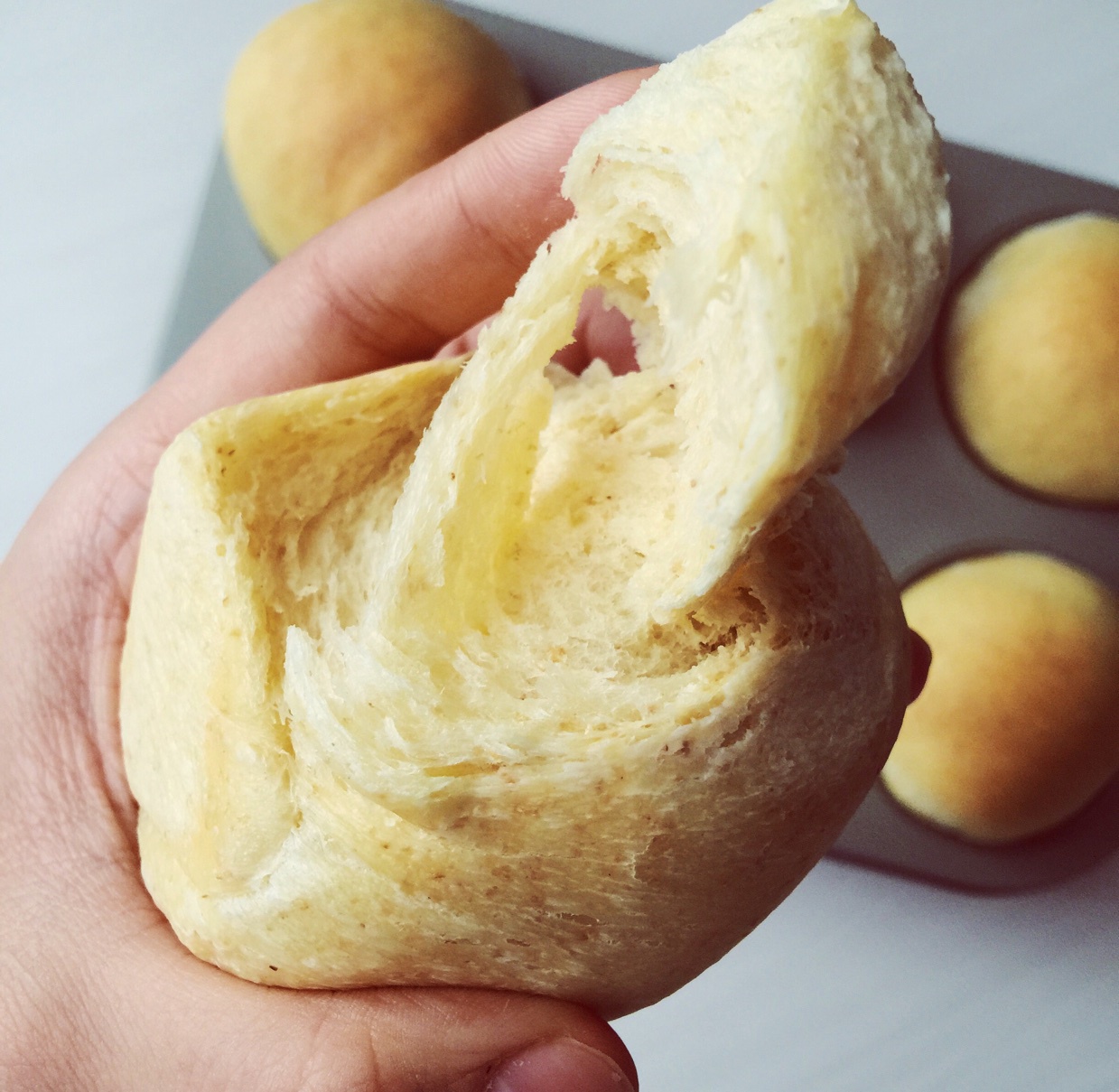 汤种全麦面包～柔软拉丝