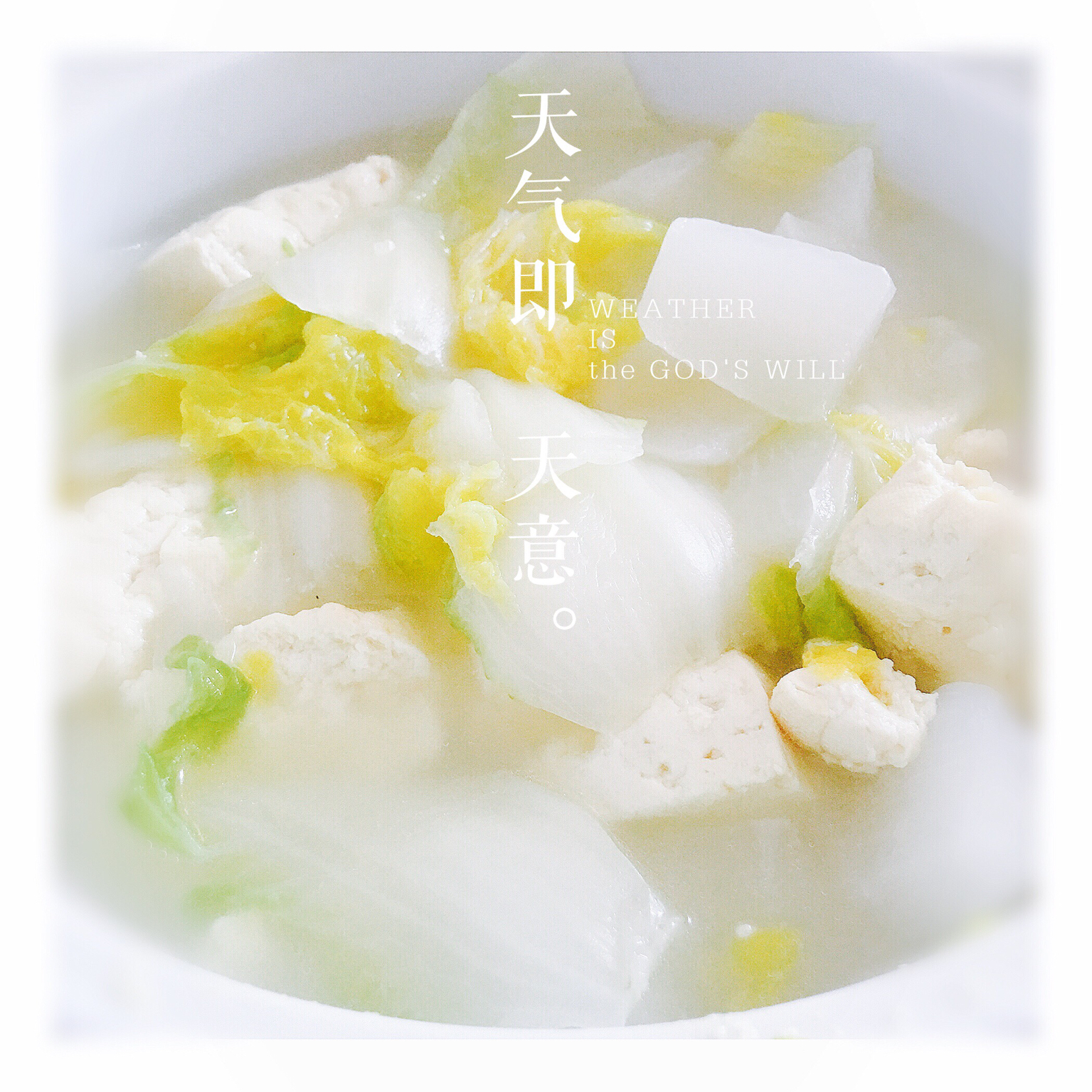 白菜豆腐萝卜汤