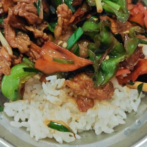 我爱吃辣椒炒肉