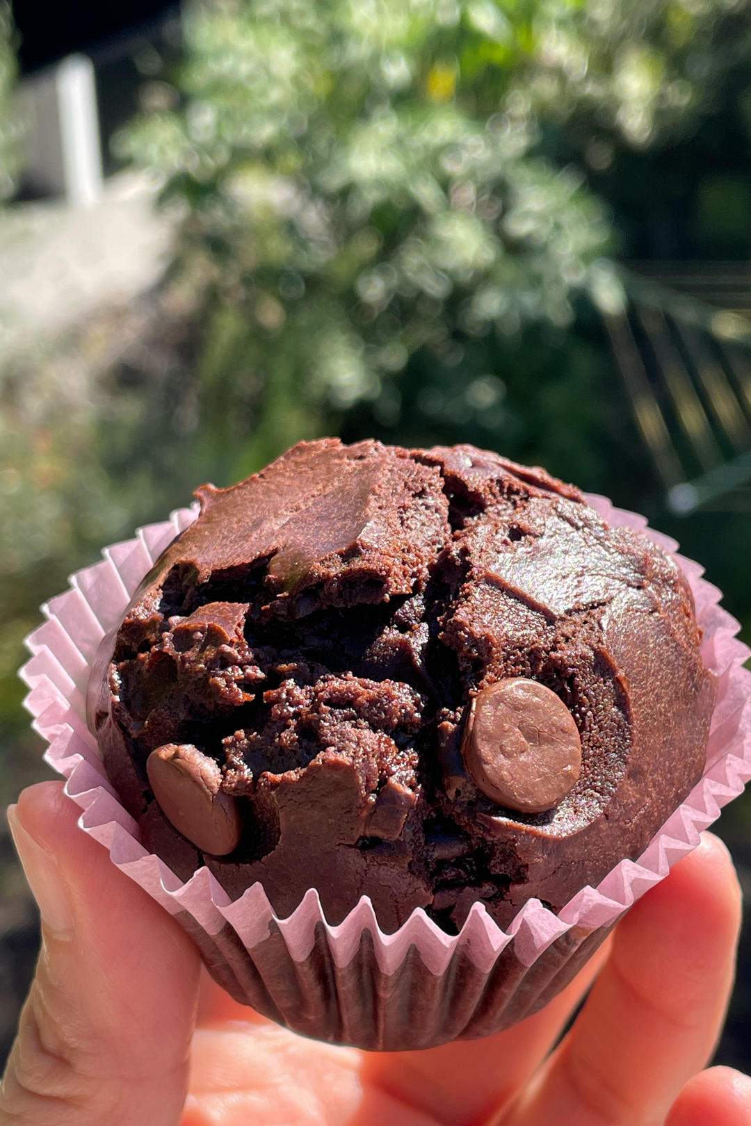 在家做巧克力蘑菇头麦芬蛋糕🍫