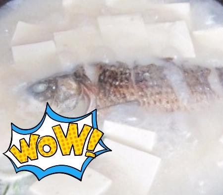 鲫鱼豆腐汤