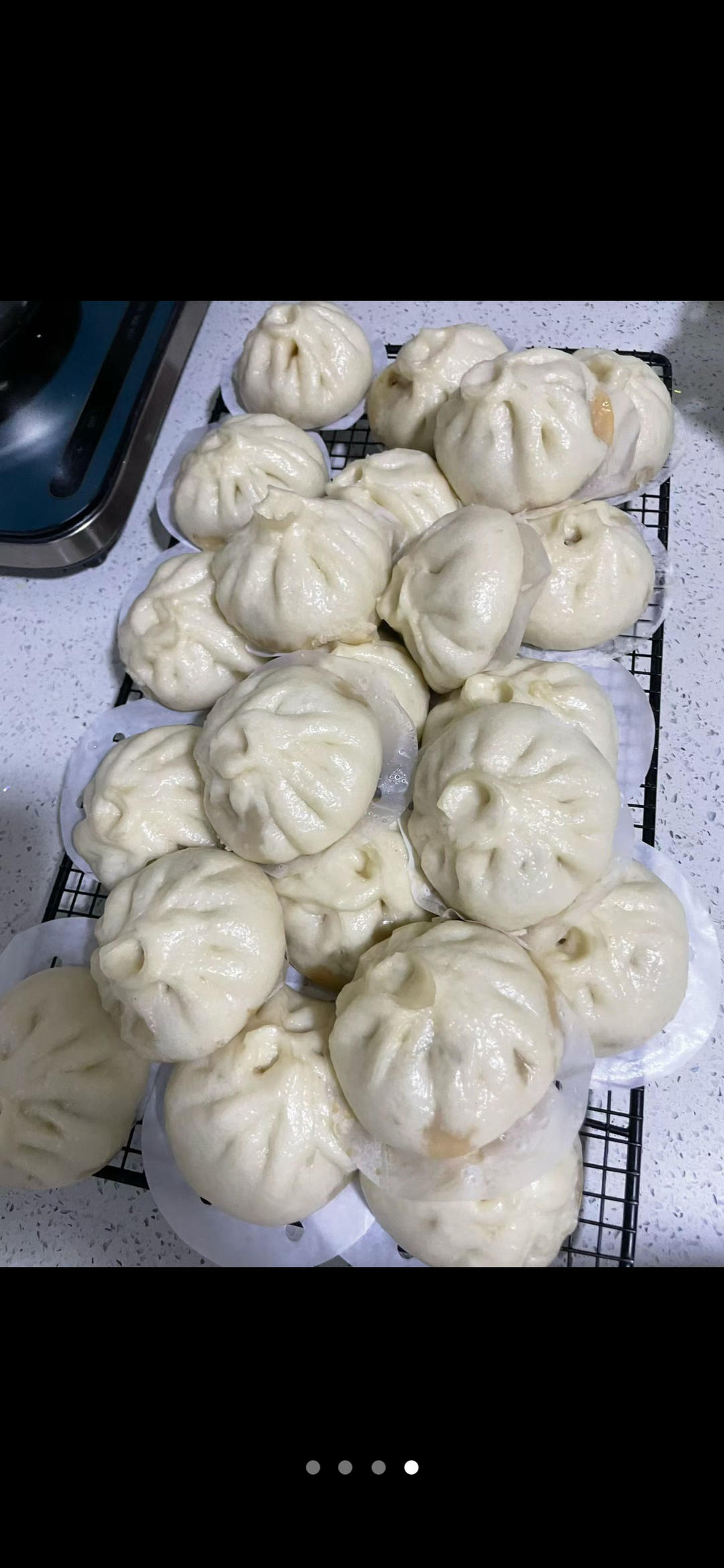 一次发酵肉包子