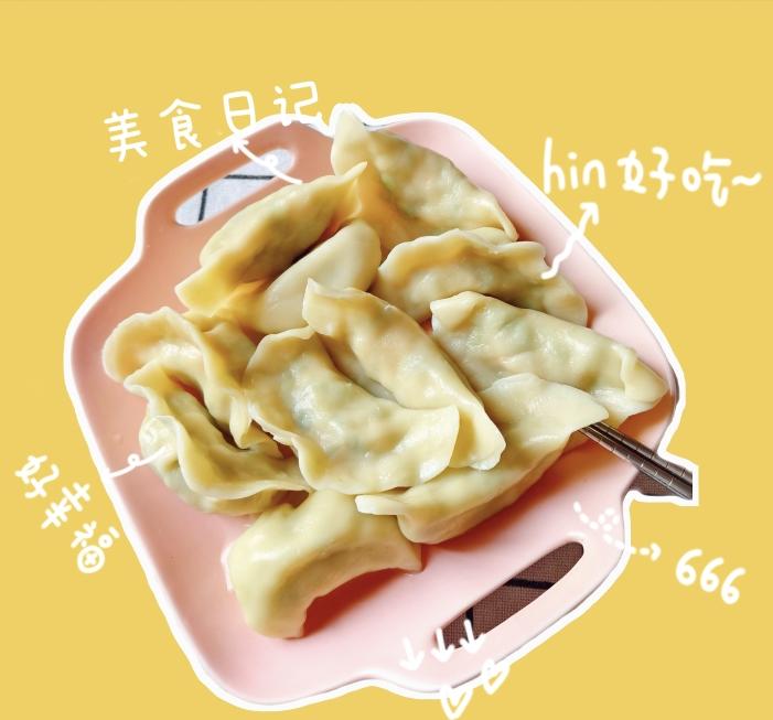 三文鱼饺子