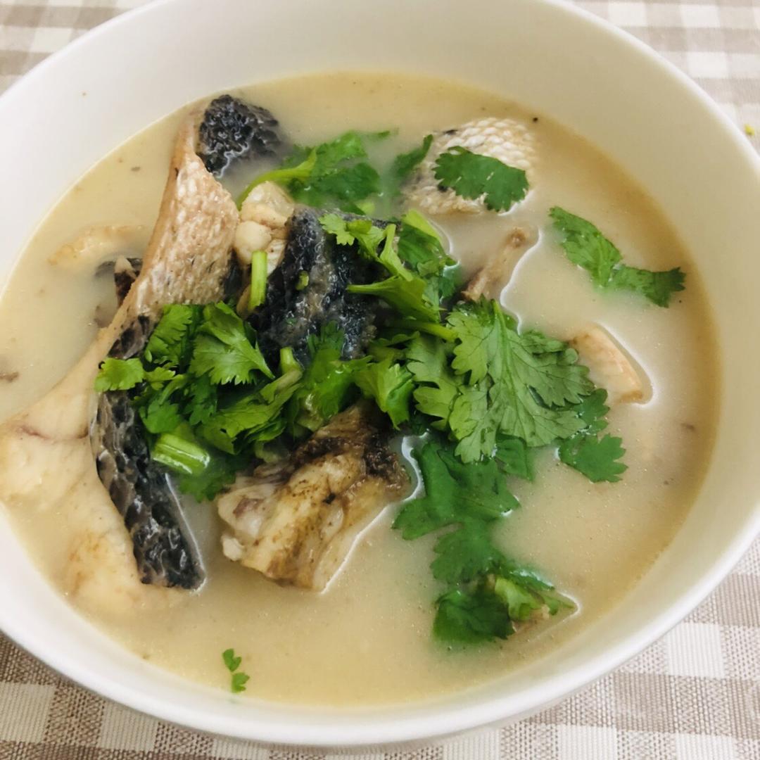 黑鱼汤