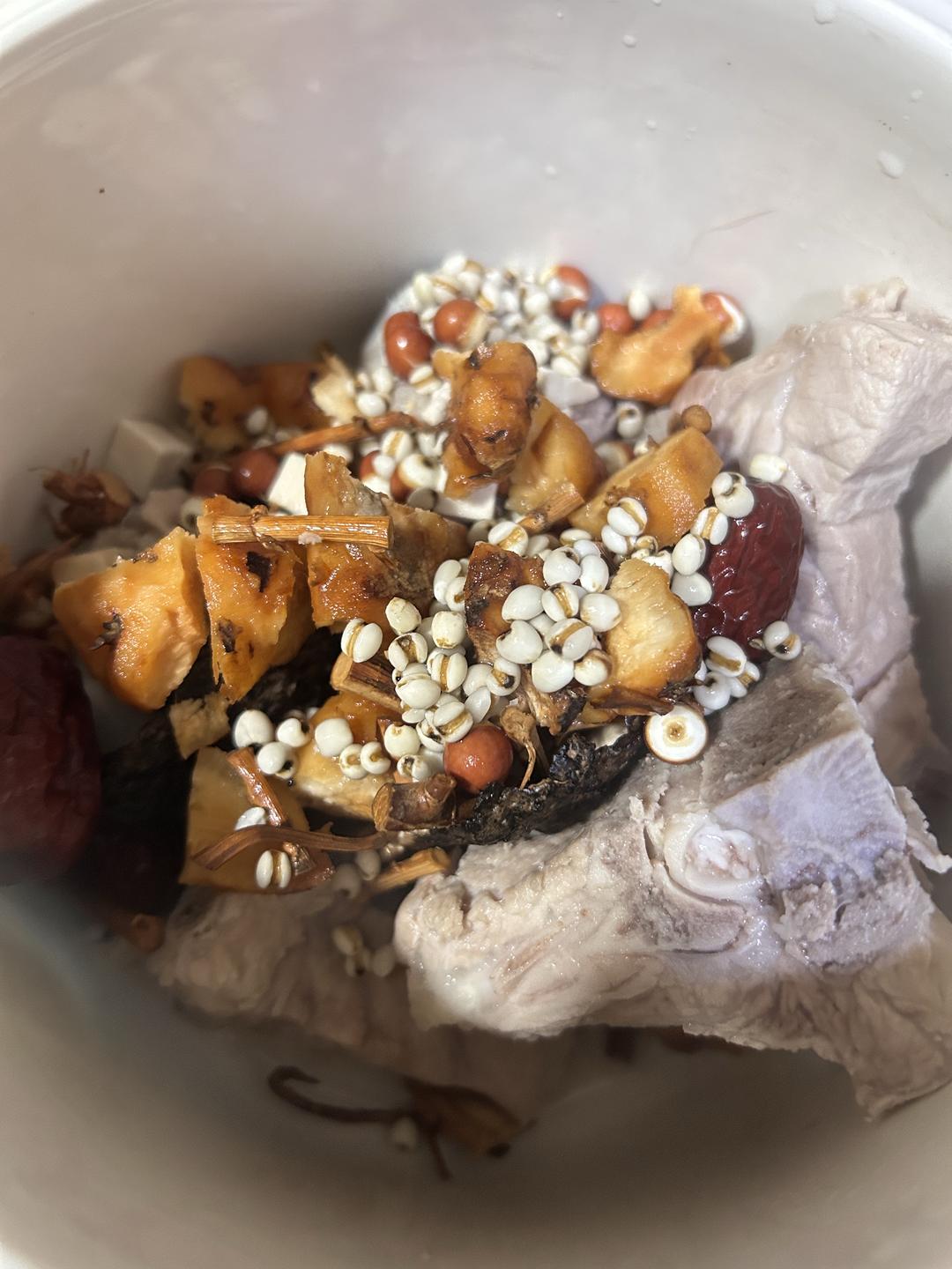 土茯苓春砂仁根猪骨汤