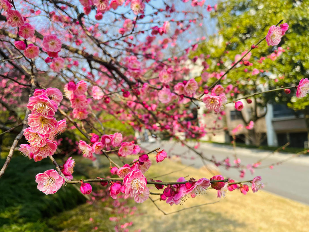 生活中的小确幸