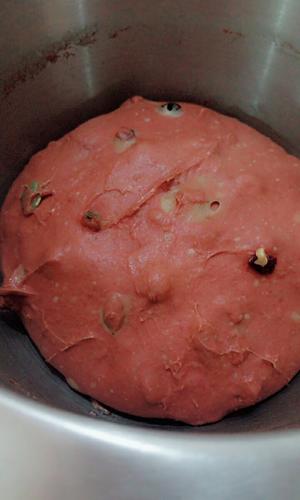 红甜菜根麦麸欧包的做法 步骤2