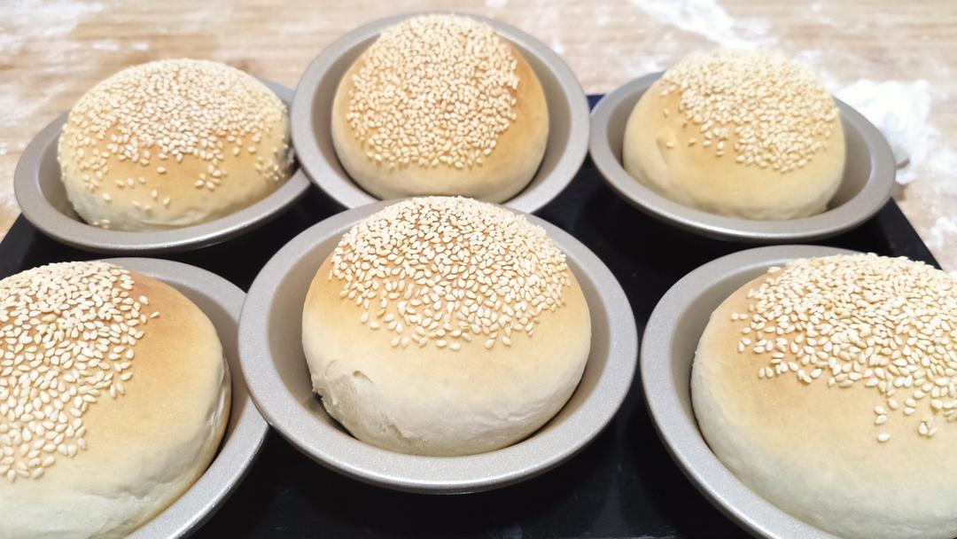 汉堡包（胚）
