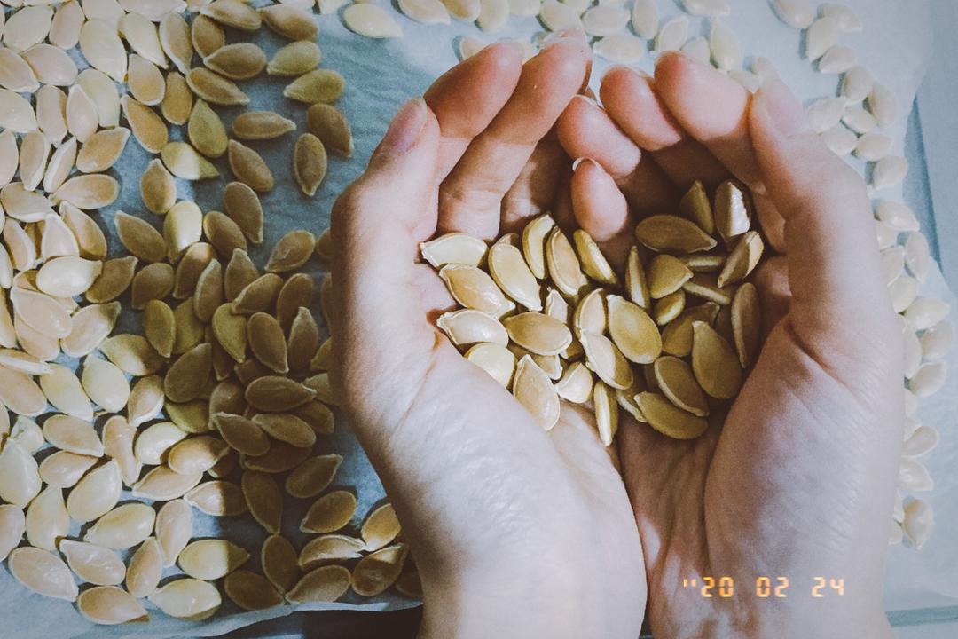 烤箱版原味南瓜子