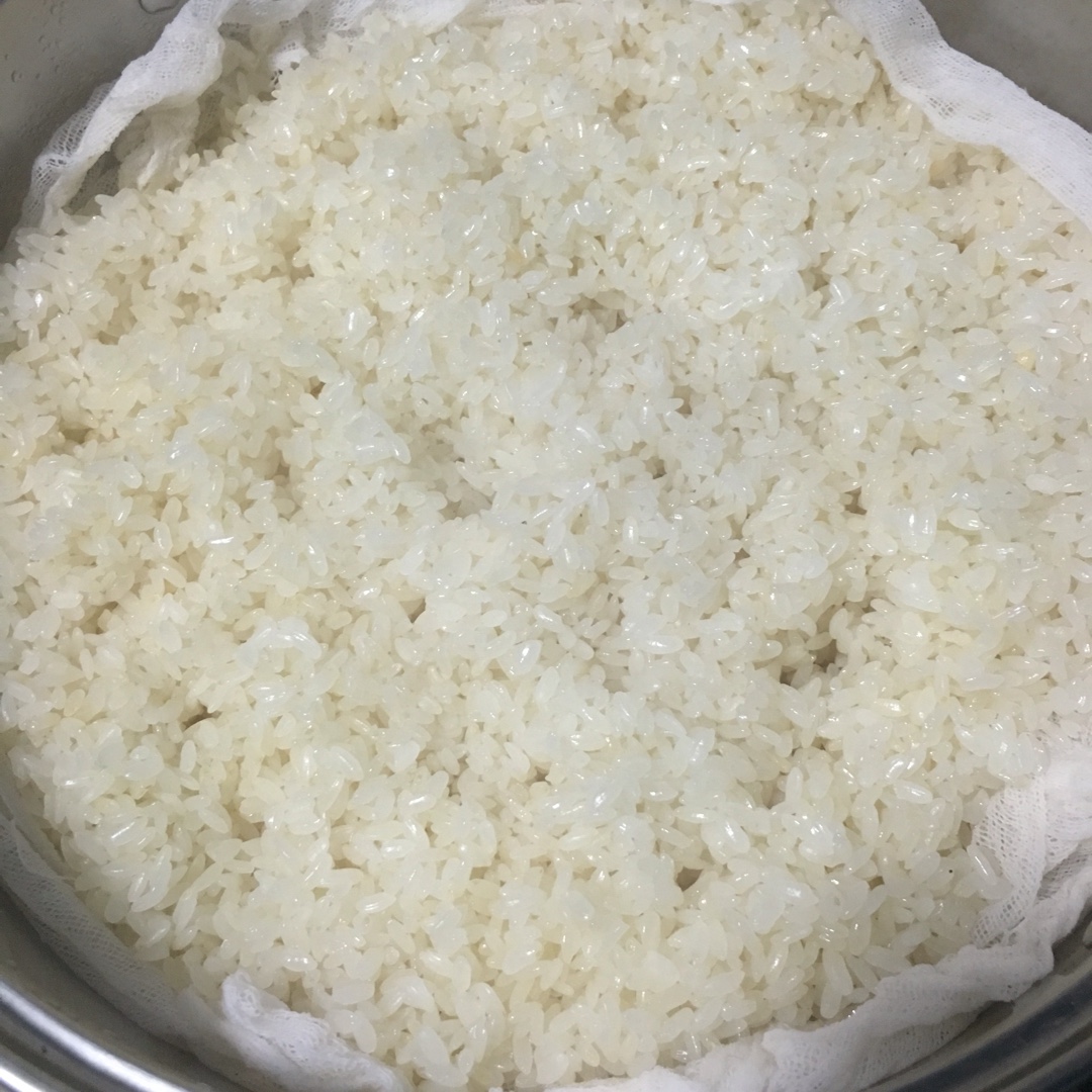 自制酒酿-圆糯米