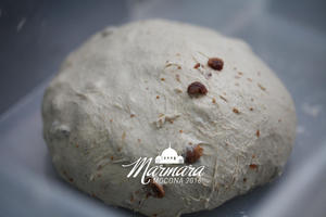 马尔马拉的海风—榛子无花果黑麦面包的做法 步骤3