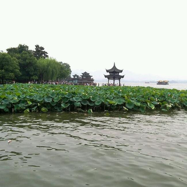 凯说源来我玺欢你的厨房