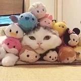 力八八