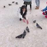一直要游的鱼