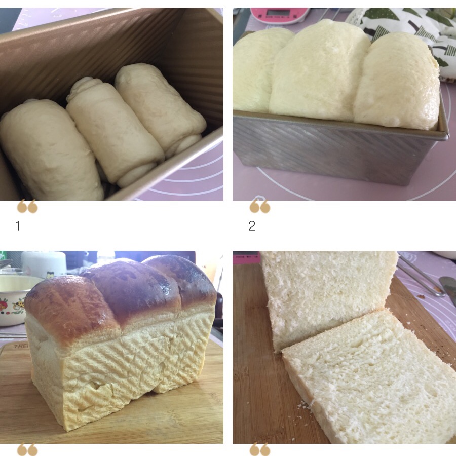 基础面包制作 Basic Bread (Loaf&Roll)