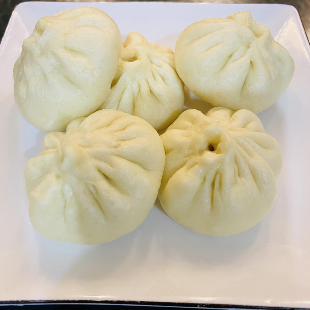 一次发酵肉包子