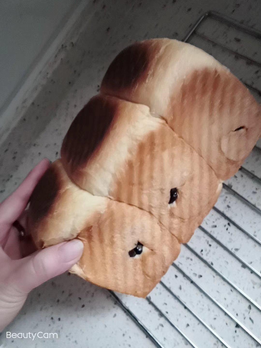 用烤箱自己做面包--手工牛奶吐司面包