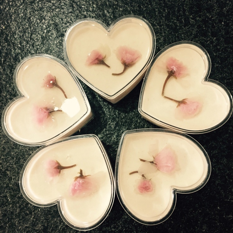 樱花乳酪慕斯蛋糕